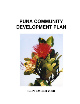 Puna Community Development Plan