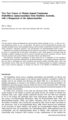 Flabellifera: Sphaeromatidae) from Southern Australia, with a Reappraisal of the Sphaeromatidae