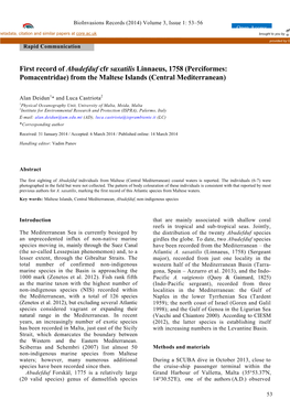 First Record of Abudefduf Cfr Saxatilis Linnaeus, 1758 (Perciformes: Pomacentridae) from the Maltese Islands (Central Mediterranean)