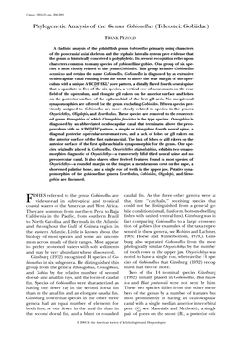 Phylogenetic Analysis of the Genus Gobionellus (Teleostei: Gobiidae)