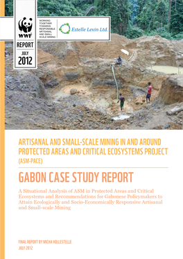 ASM PACE Gabon Case Study Report