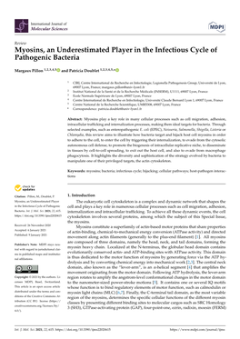 Myosins, an Underestimated Player in the Infectious Cycle of Pathogenic Bacteria