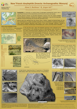 Record of Dasyleptids (Insecta: Archaeognatha: Monura) in The