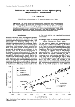 Revision of the Iridomyrmex Discors Species-Group (Hymenoptera: Formicidae)