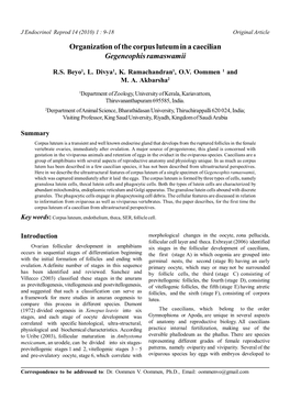 Organization of the Corpus Luteum in a Caecilian Gegeneophis Ramaswamii