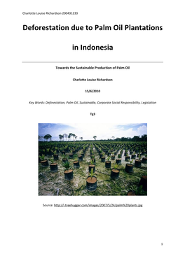 The Palm Oil Research Project