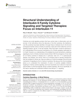 Structural Understanding of Interleukin 6 Family Cytokine Signaling and Targeted Therapies: Focus on Interleukin 11