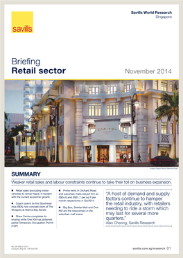 Singapore Retail Briefing Q3 2014