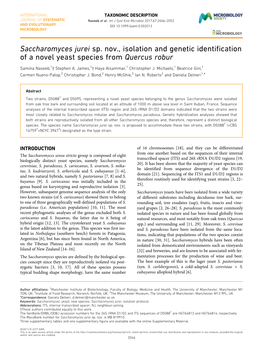 Saccharomyces Jurei Sp. Nov., Isolation and Genetic Identification of a Novel Yeast Species from Quercus Robur