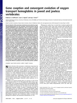 Gene Cooption and Convergent Evolution of Oxygen Transport Hemoglobins in Jawed and Jawless Vertebrates