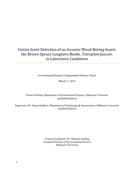 Canine Scent Detection of an Invasive Wood-Boring Insect, the Brown Spruce Longhorn Beetle, Tetropium Fuscum, in Laboratory Conditions