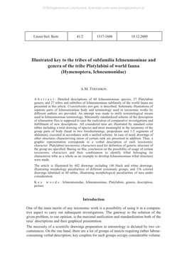 Illustrated Key to the Tribes of Subfamilia Ichneumoninae and Genera of the Tribe Platylabini of World Fauna (Hymenoptera, Ichneumonidae)