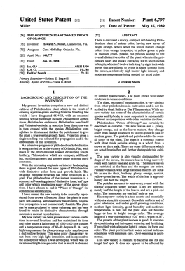 United States Patent (19) 11) Patent Number: Plant 6,797 Miller 45 Date of Patent: May 16, 1989