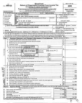 V . Short Form Fdhm .990-EZ Return Of