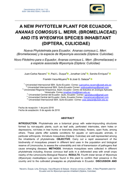 A New Phytotelm Plant for Ecuador, Ananas Comosus L. Merr