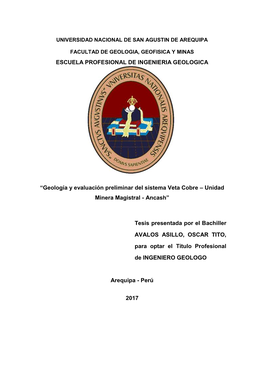 Geología Y Evaluación Preliminar Del Sistema Veta Cobre – Unidad Minera Magistral - Ancash”