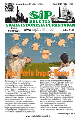 Apa Perlu Impor Beras