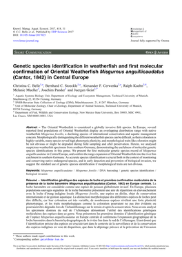 Genetic Species Identification in Weatherfish and First Molecular