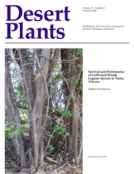 Survival and Performance of Cultivated Woody Legume Species in Yuma, Arizona