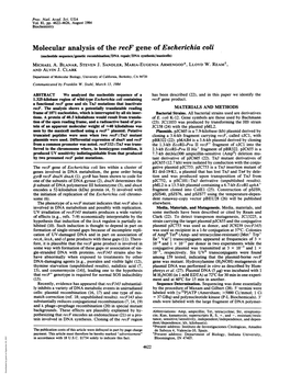 Molecular Analysis of the Recf Gene of Escherichia Coli (Nucleotide Sequence/Genetic Recombination/DNA Repair/DNA Synthesis/Maxicells) MICHAEL A