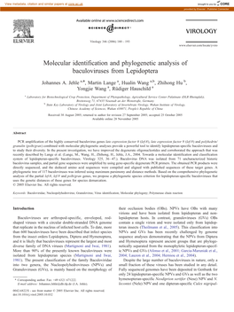 Molecular Identification and Phylogenetic Analysis of Baculoviruses from Lepidoptera