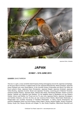 Japanese Robin, Hokkaido