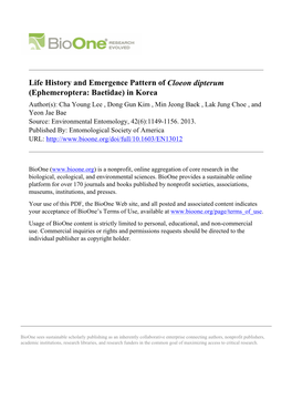 Life History and Emergence Pattern of Cloeon Dipterum (Ephemeroptera: Baetidae) in Korea