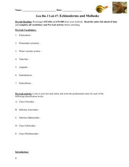 Gen Bio 2 Lab #7: Echinoderms and Mollusks