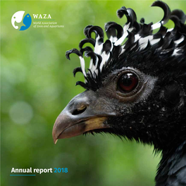 Annual Report 2018