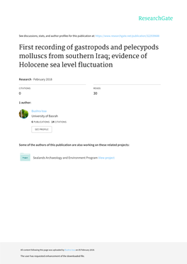 First Recording of Gastropods and Pelecypods Molluscs from Southern Iraq; Evidence of Holocene Sea Level Fluctuation