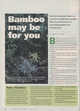 Bamboo May Not Be on Your List of Land