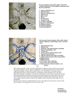 Osseous & Venous Anatomy 18.5