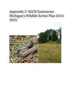 Appendix 3 -SGCN Summaries Michigan's Wildlife Action Plan 2015