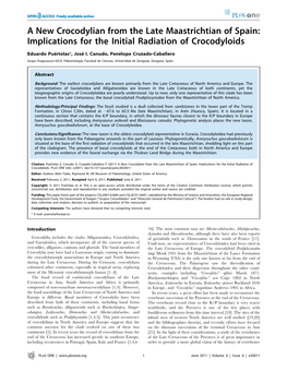 A New Crocodylian from the Late Maastrichtian of Spain: Implications for the Initial Radiation of Crocodyloids