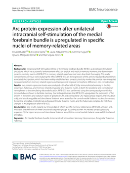 Arc Protein Expression After Unilateral Intracranial Self-Stimulation of the Medial Forebrain Bundle Is Upregulated in Specific