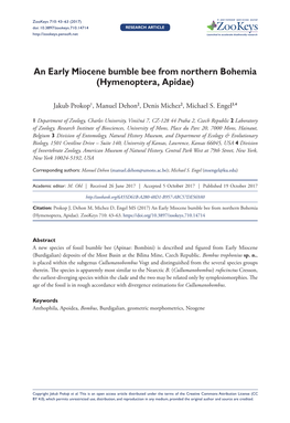 An Early Miocene Bumble Bee from Northern Bohemia (Hymenoptera, Apidae)