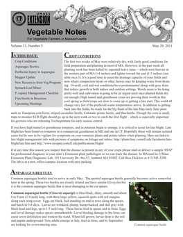 Vegetable Notes for Vegetable Farmers in Massachusetts