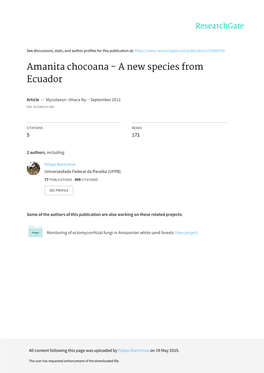 Amanita Chocoana - a New Species from Ecuador