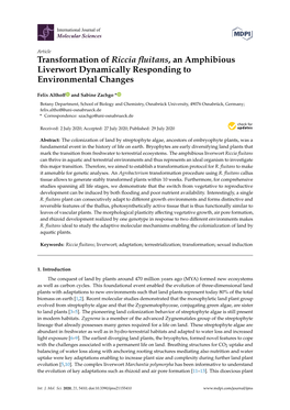 Transformation of Riccia Fluitans, an Amphibious Liverwort Dynamically