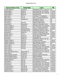 Exceptional Trees on O`Ahu by Species Name