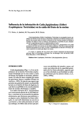 Influencia De La Infestación De Cydia Fagiglandana (Zeller) (Lepidoptera: Tortricidae) En La Caída Del Fruto De La Encina