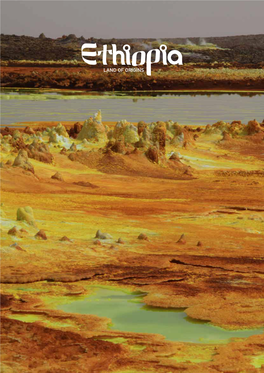 Ethiopia Land of Origins Ethiopia Travel. Ethiopian Tourism Org