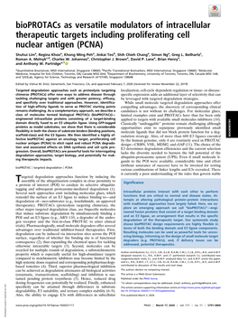 Bioprotacs As Versatile Modulators of Intracellular Therapeutic Targets Including Proliferating Cell Nuclear Antigen (PCNA)