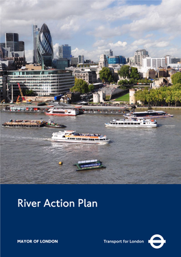 River Action Plan