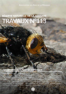 Travaux N°113