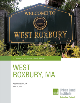 Uli Technical Assistance Panel Report West Roxbury, Ma