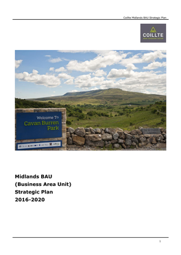 Midlands BAU (Business Area Unit) Strategic Plan 2016-2020