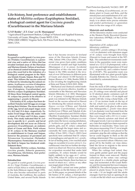 Life-History, Host Preference and Establishment Status of Melittia