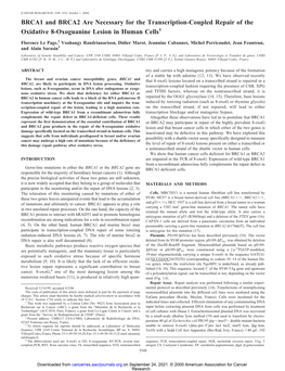 BRCA1 and BRCA2 Are Necessary for the Transcription-Coupled Repair of the Oxidative 8-Oxoguanine Lesion in Human Cells1