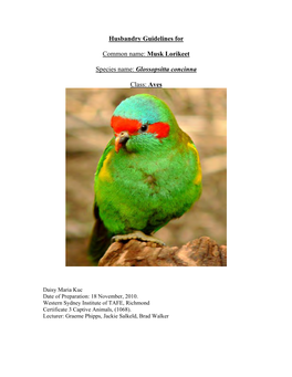 Musk Lorikeet Species Name